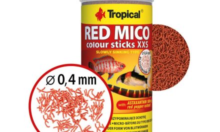 TROPICAL RED MICO COLOUR STICKS XXS