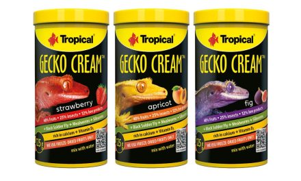 TROPICAL GECKO CREAM