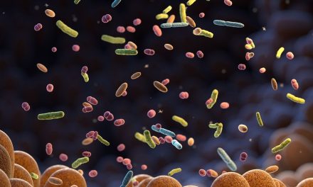Probiotyki, prebiotyki i postbiotyki Kompleksowe wsparcie zdrowia psów i kotów