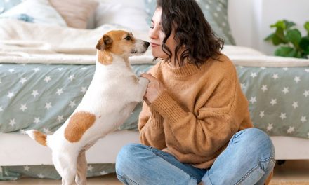 Raport trendów branży zoologicznej ADM Pet Nutrition Global Insides 2025
