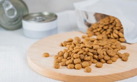 Czy Holding Animex – znany producent wędlin, przejmie Pupil Foods?