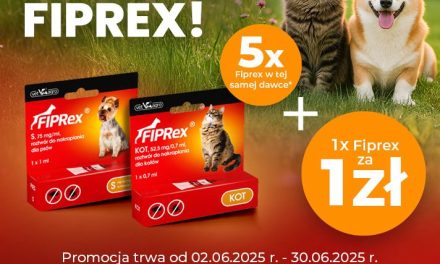 Lato w pełni – czas na ochronę przed Kleszczami!