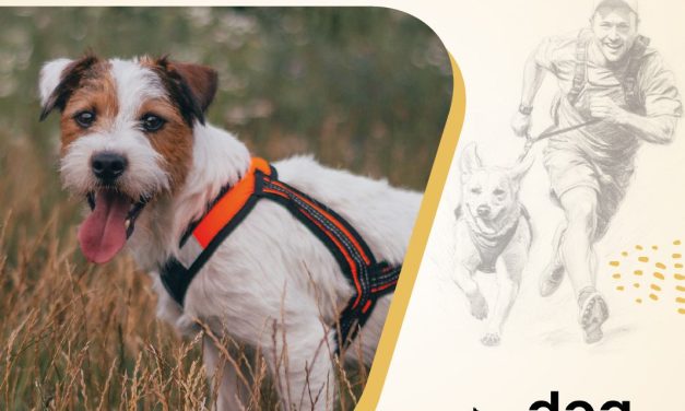 BIOFEED ZOO i marka Euphoria sponsorem Pucharu Polski w Dogtrekkingu 2025