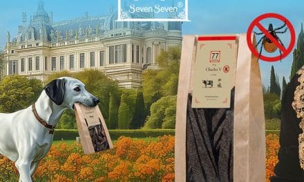 Jak naturalnie chronić Twojego psa przed kleszczami?