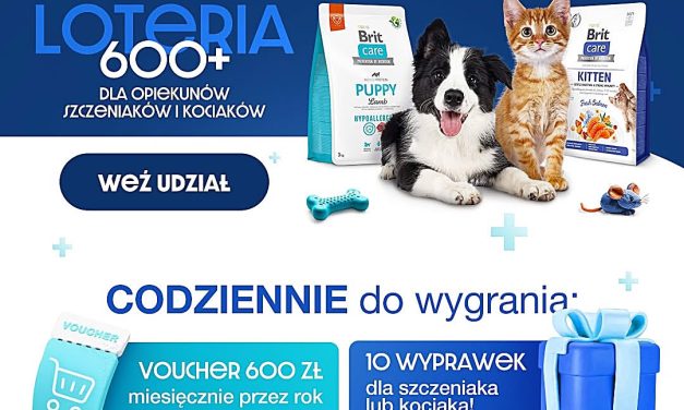 Weź udział w loterii #britrozdaje600+