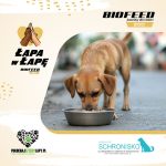 „Łapa w łapę” po raz czwarty – BIOFEED ponownie pomaga schroniskom