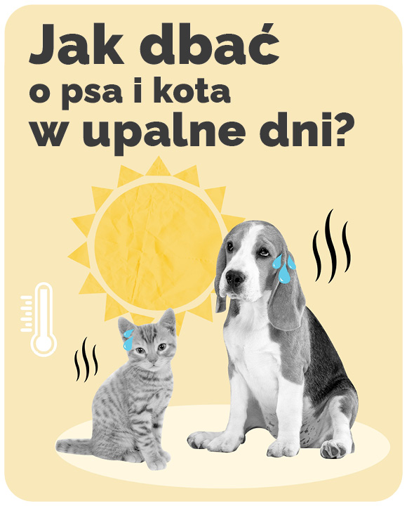 Co na upały?