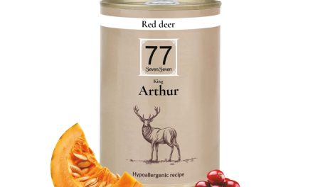 Arthur – jeleń z dynią i żurawiną puszka 400 g