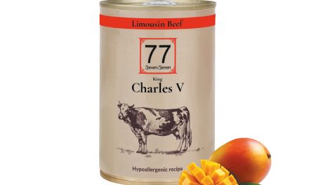 Charles V – wołowina z mango puszka 400 g