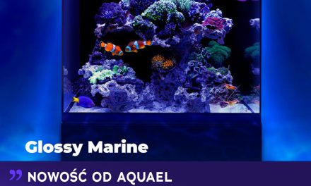 Nowość: AQUAEL Glossy Marine!