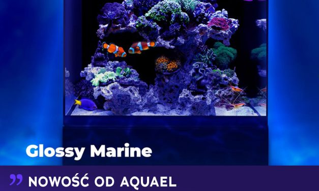 Nowość: AQUAEL Glossy Marine!