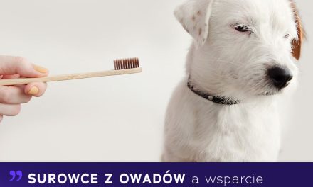 Surowce z owadów a wsparcie higieny jamy ustnej psów