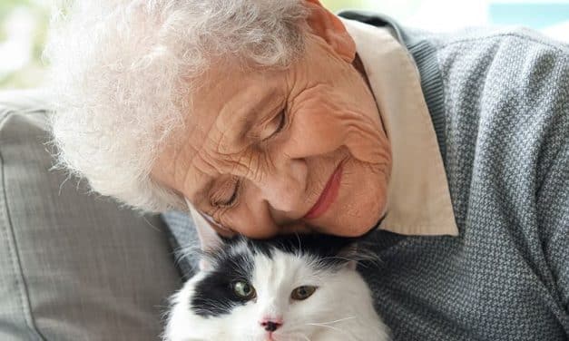 Jak koty z demencją mogą pomóc chorym na Alzheimera?