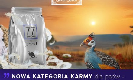 Dieta lekka jak piórko od 77 Seven Seven