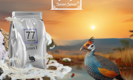 Dieta lekka jak piórko od 77 Seven Seven
