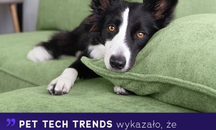 Pet tech a zestresowane zwierzaki