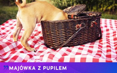 Majówka z pupilem – jak zadbać o bezpieczeństwo, komfort i zdrowie zwierzęcia