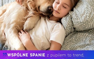 Czy spanie z pupilem ma same zalety?