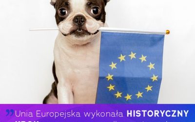Nowa era ochrony zwierząt w UE – przełomowe przepisy zmienią rynek psów i kotów