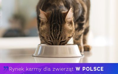 Polski rynek karm dla zwierząt domowych