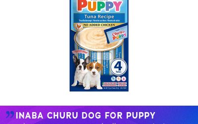 INABA Churu Dog for Puppy – kremowy przysmak dla szczeniąt