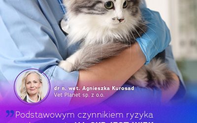 CHOROBA, KTÓREJ RYZYKO WZRASTA WRAZ Z WIEKIEM PRZEWLEKŁA CHOROBA NEREK – CZYNNIKI RYZYKA PSA LUB KOTA