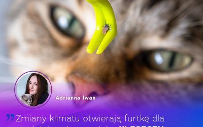 JAK ZMIANY KLIMATU WPŁYWAJĄ NA KOMPETENCJE WEKTOROWE KLESZCZY?