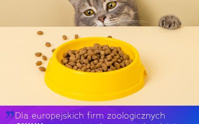 Jak wygląda chiński rynek pet food – nowy raport